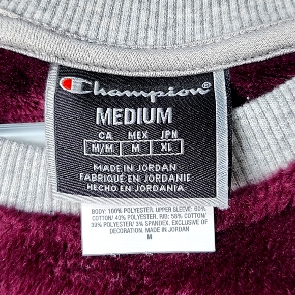 Champion Fuzzy Crop Sweatshirt - Picture 2 of 4
